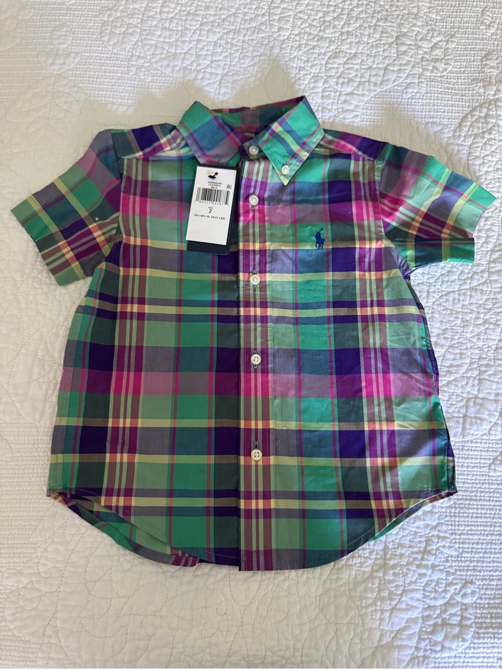Polo by Ralph Lauren Green & Purple Plaid Short-Sleeve Button-Down Shirt